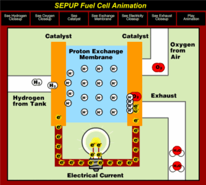 SEPUP Fuel Cell Simulation
